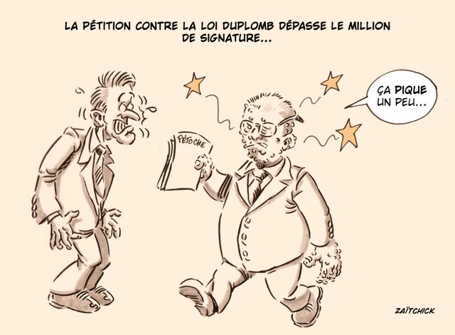 Pas folle la guêpe !