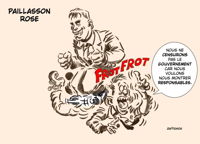 Paillasson rose