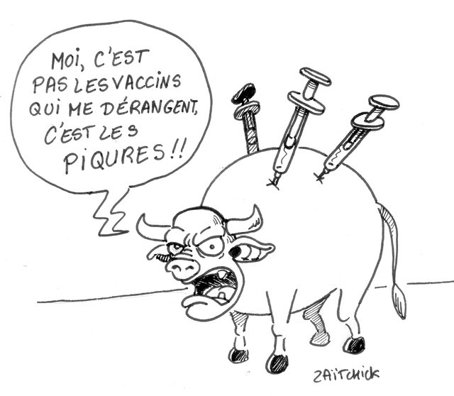 Vaccins et maltraitance animale...