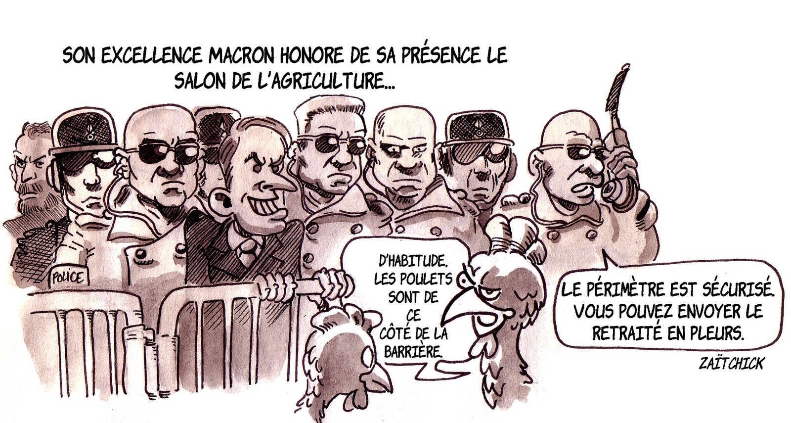 Dans les poulaillers d'acajou ...