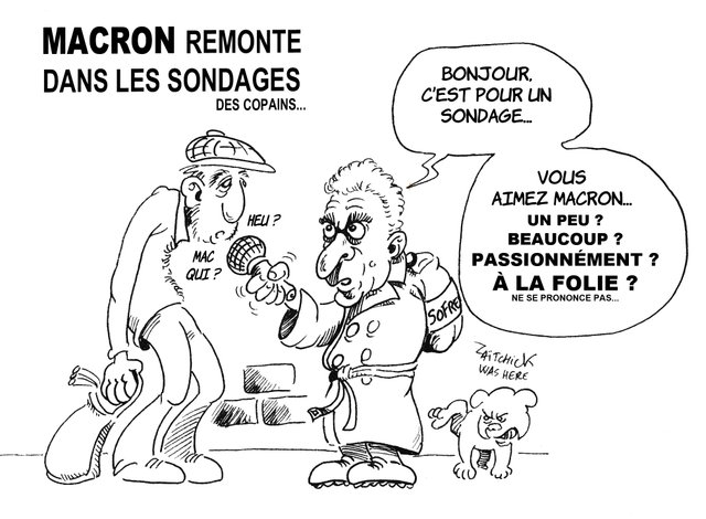 Sofres, Ipsos, toutes des sa...