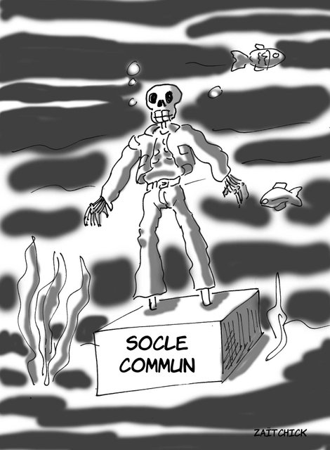 Socle commun des connaissances...