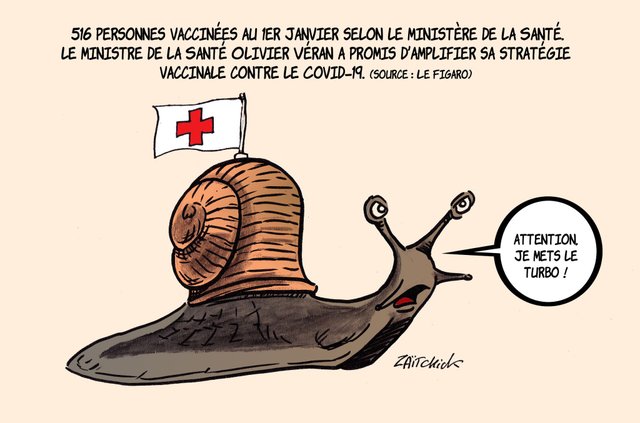 Put a snail in your tank