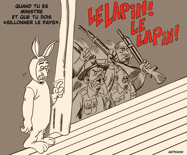 Le complexe du lapin