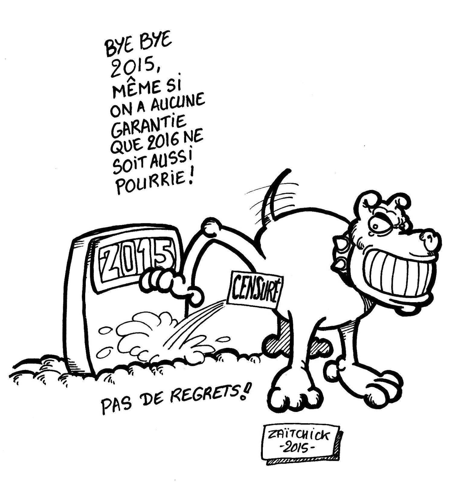 Bye bye 2015 !
