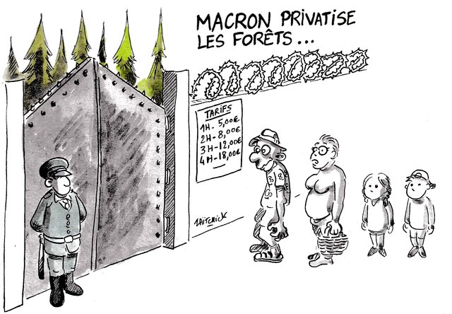 Privés de forêts.
