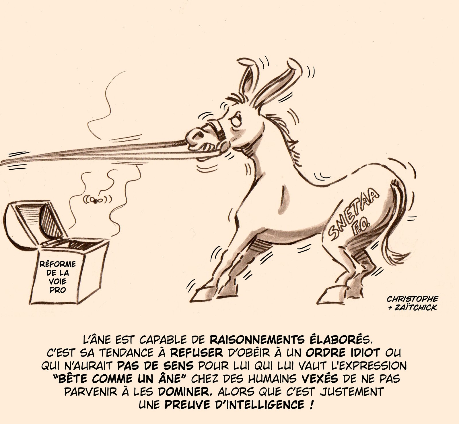 C'est âne pas croire !