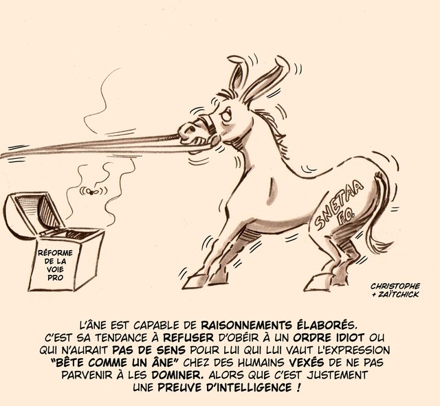 C'est âne pas croire !