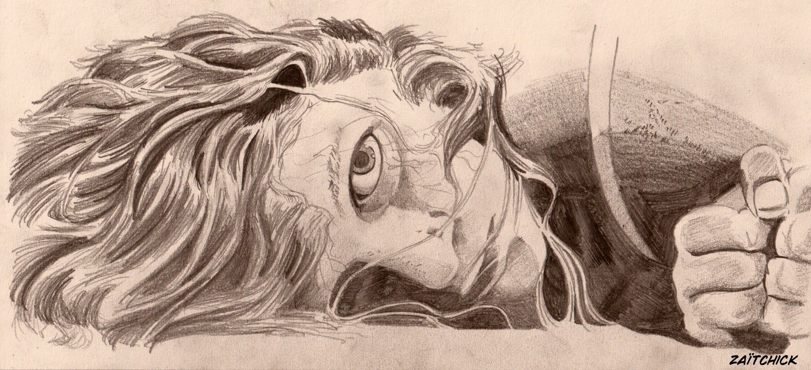 Y a pas que la BD dans la vie