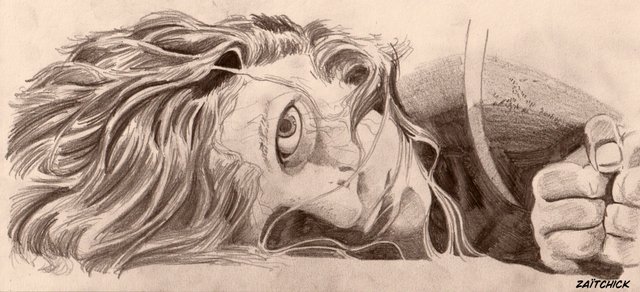 Y a pas que la BD dans la vie