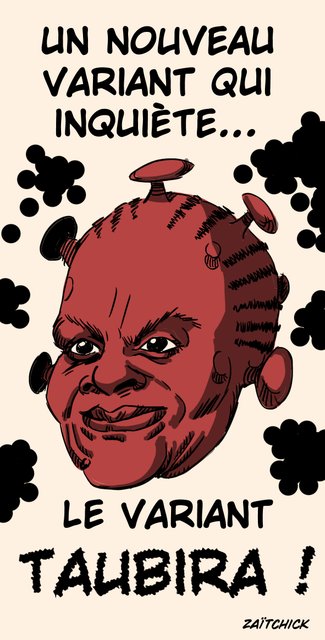 Taubi or not Taubi ?