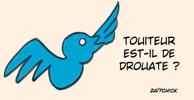 Jeunesses touiteuriennes