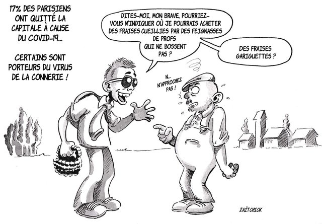 Monsieur le sous-doué aux champs