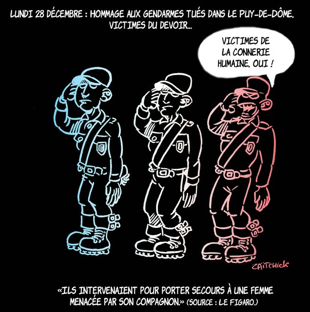 Il ne faut pas prendre les hirondelles pour des canards sauvages